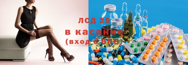 хмурый Няндома