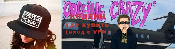 хмурый Няндома