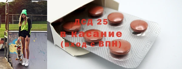 ПСИЛОЦИБИНОВЫЕ ГРИБЫ Новозыбков