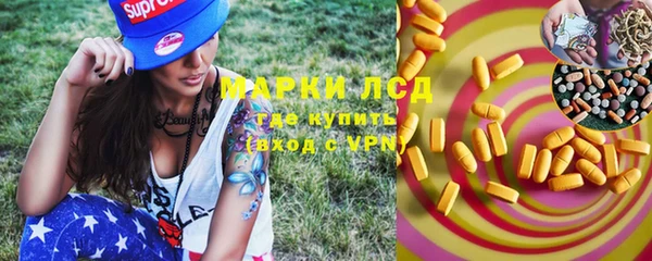 хмурый Няндома