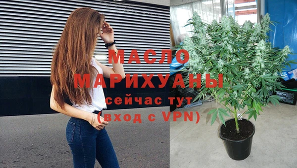 хмурый Няндома