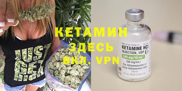 хмурый Няндома