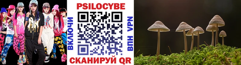 Купить  Махачкала  Псилоцибиновые грибы ЛСД 