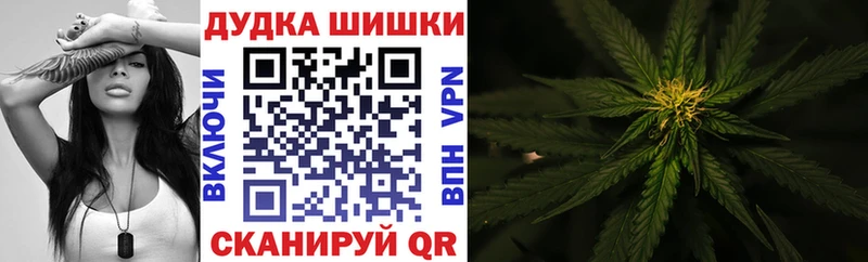 Купить где  Махачкала  Бошки марихуана индика 